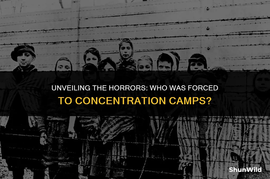 who went to concerntration camps
