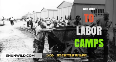 Unveiling the Truth: Who Was Forced into Labor Camps?