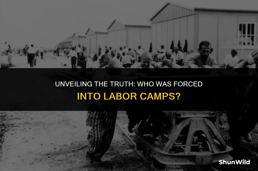 who went to labor camps