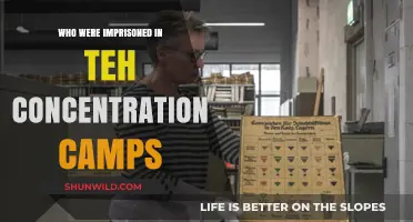 Imprisoned in Concentration Camps: Victims, Survivors, and Their Untold Stories