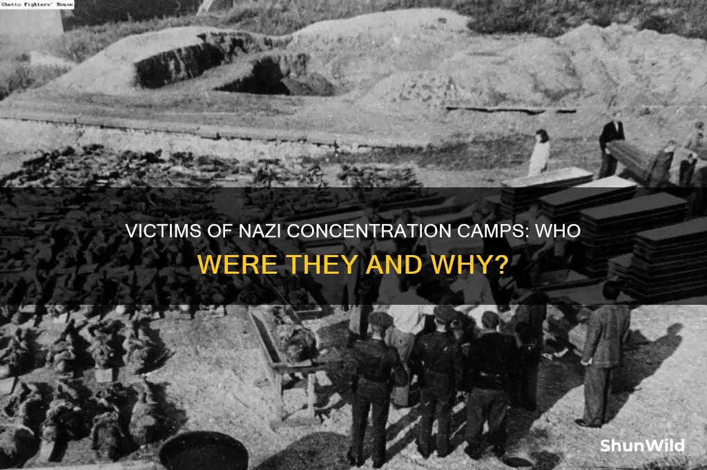 who were in nazi concentration camps