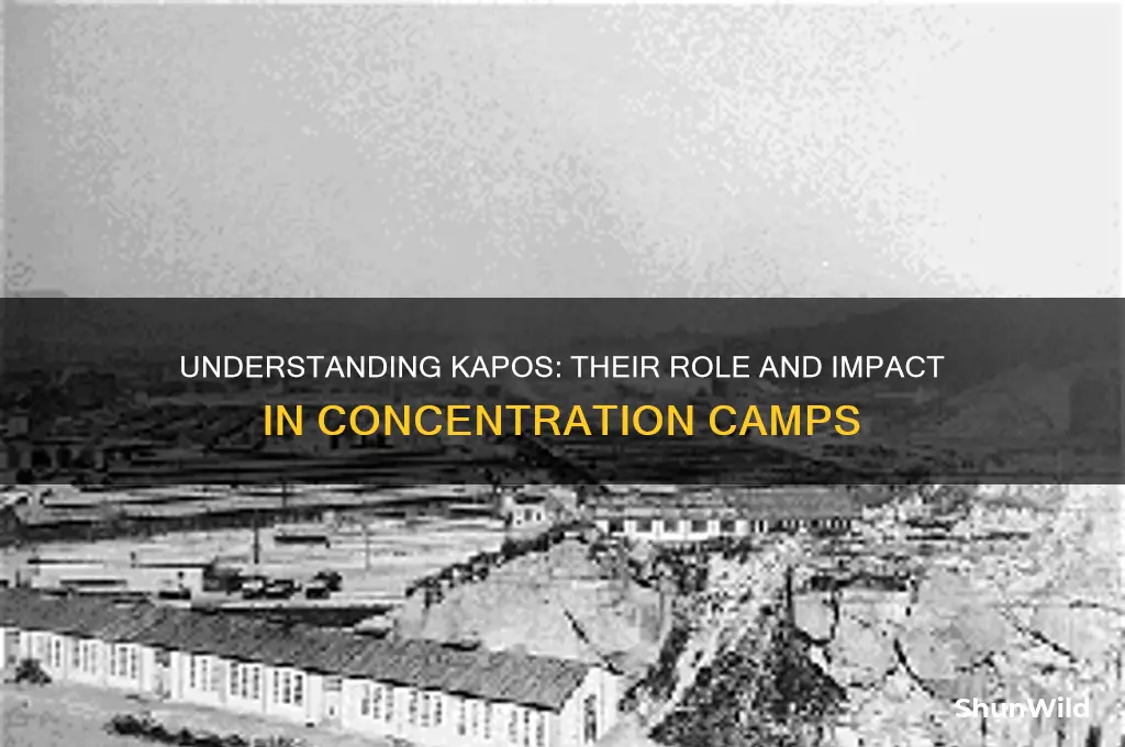 who were kapos in concentration camps