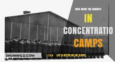 The Rabbits of Concentration Camps: A Forgotten Symbol of Resistance