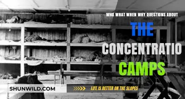Uncovering Concentration Camps: Who, What, When, Why Explained