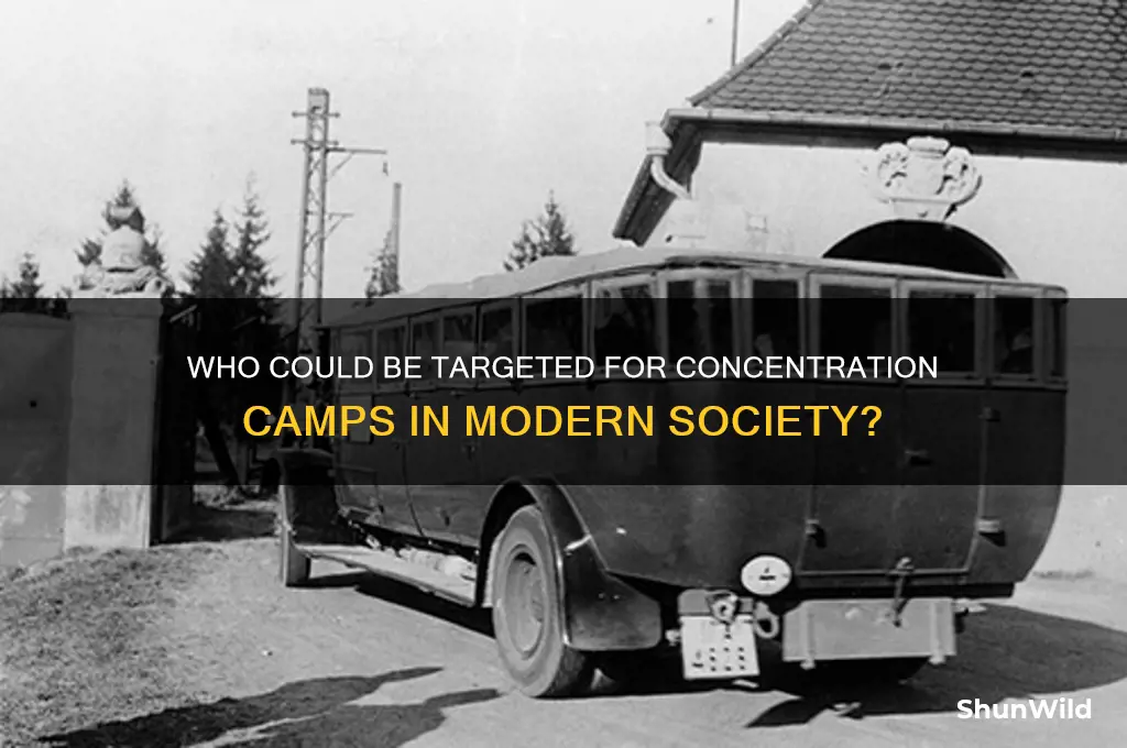 who will be put in concentration camps