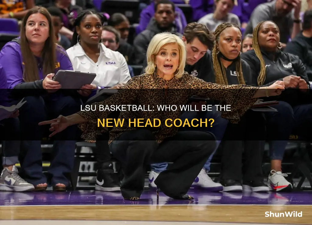 who will lsu hire as basketball head coash