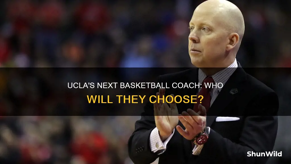 who will ucla hire for basketball