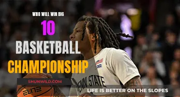 Big Ten Basketball: Who Will Be Crowned Champion?