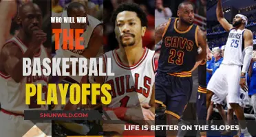 The Basketball Playoffs: Who Will Be Crowned Champion?