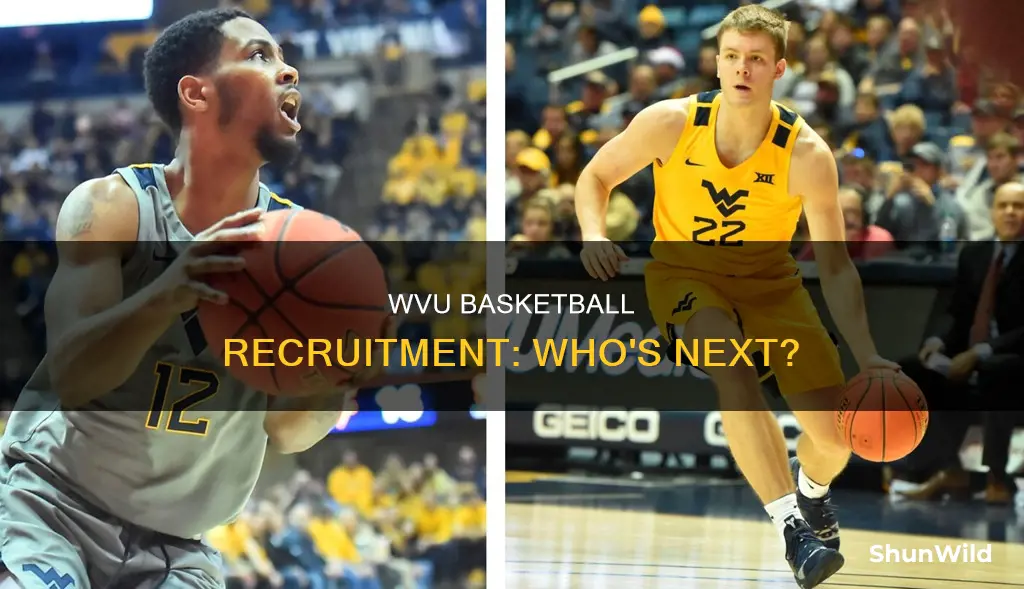 who will wvu recuite in basketball