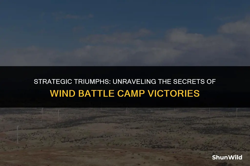 who wind battle camp