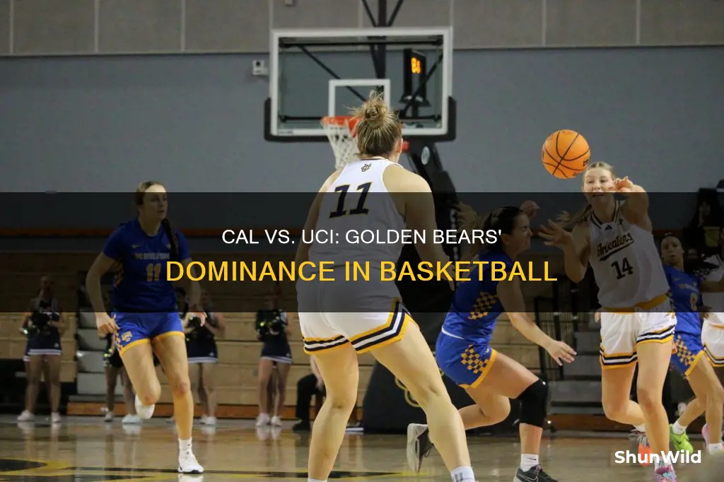 who wins between cal golden bears and uc irvine basketball