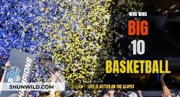 Big Ten Basketball: Who Will Be Crowned Champion?