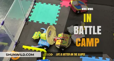 Who Wins in Battle Camp: Strategies for Dominating the Arena