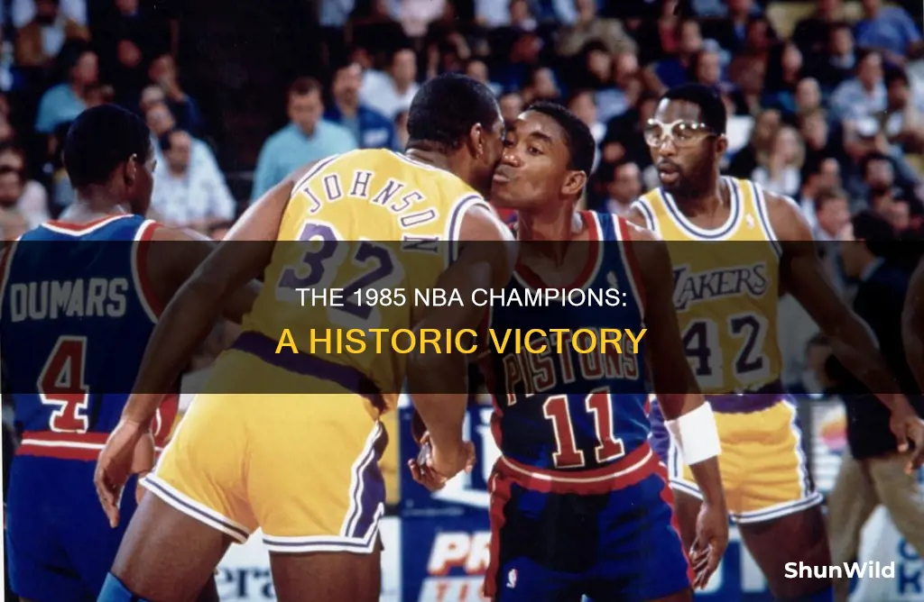who won 1985 nba basketball championship