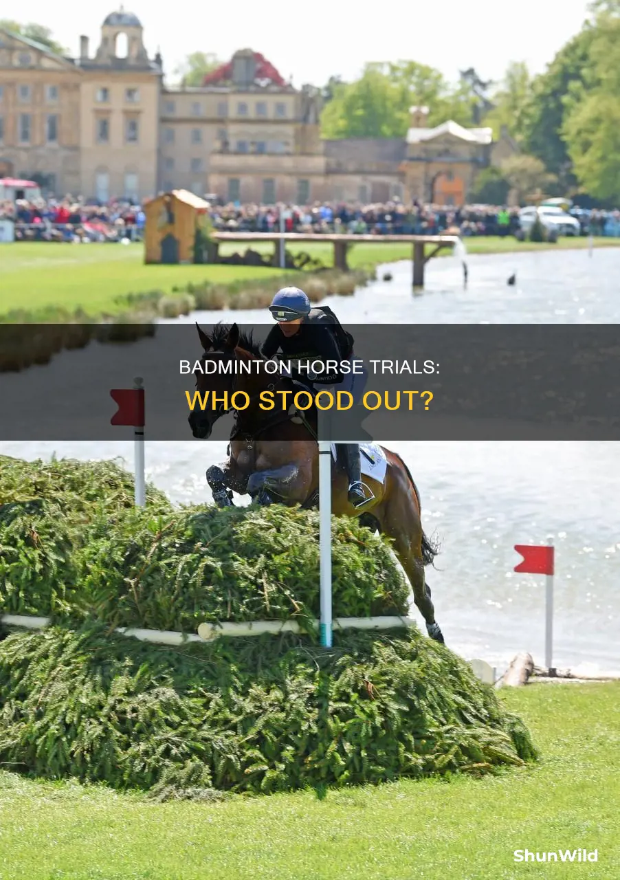 who won badminton horse