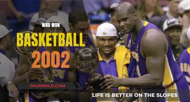 The Basketball Champions of 2002: A Retrospective