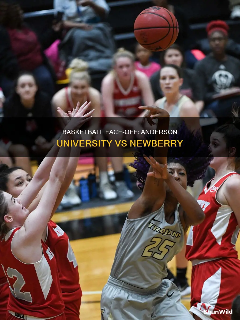 who won basketball anderson university and newberry