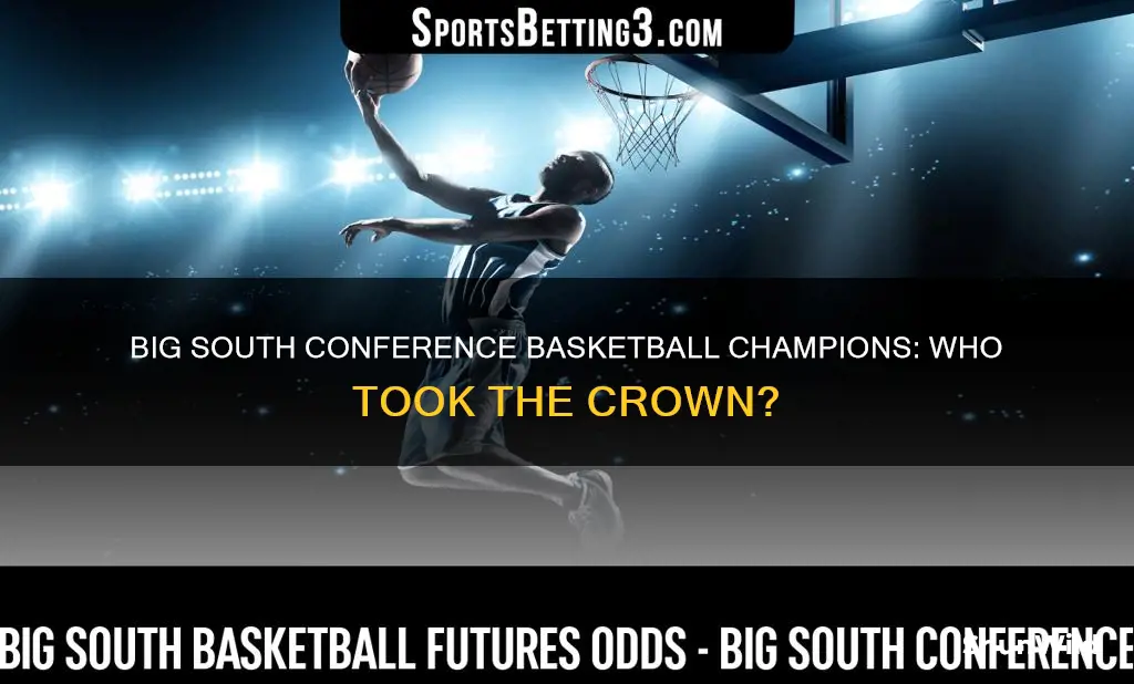 who won big south conference basketball