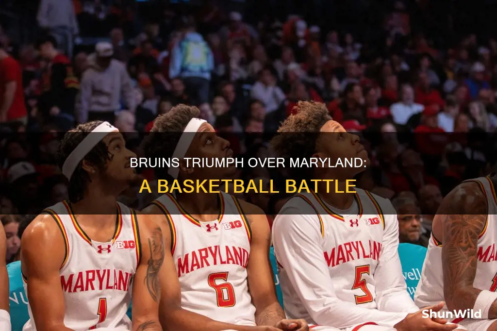who won bruins vs maryland basketball