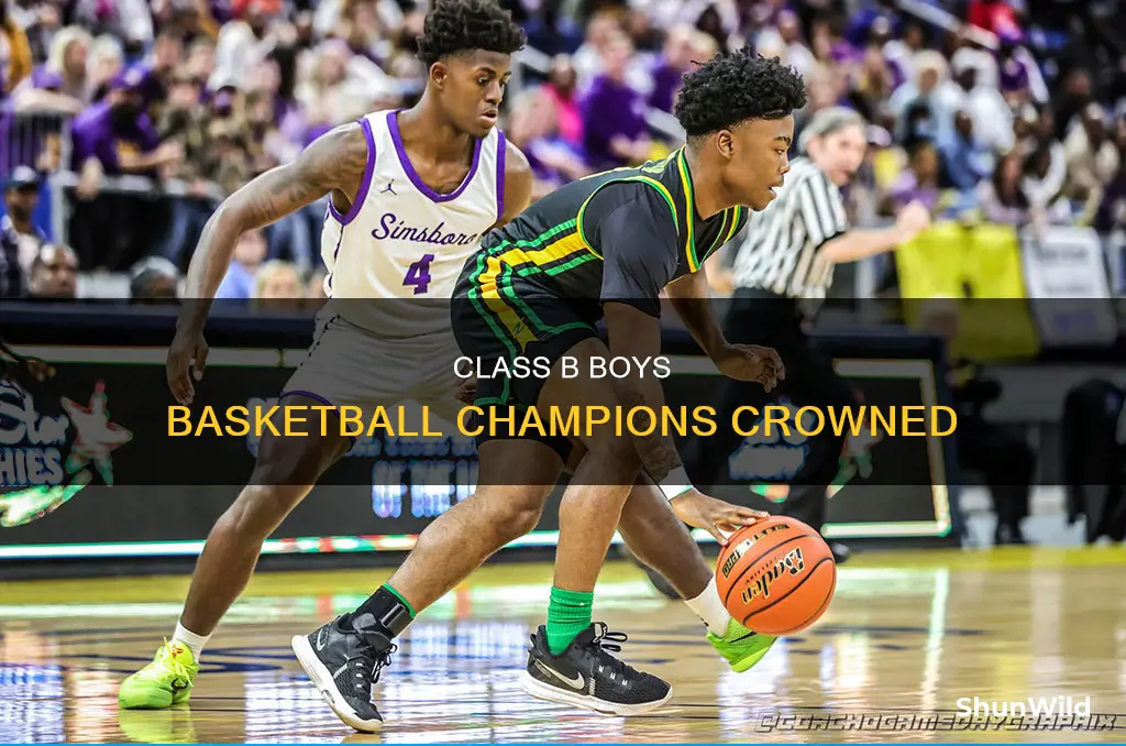who won class b boys basketball