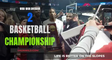 Division 2 Basketball: Championship Winners and Their Legacy