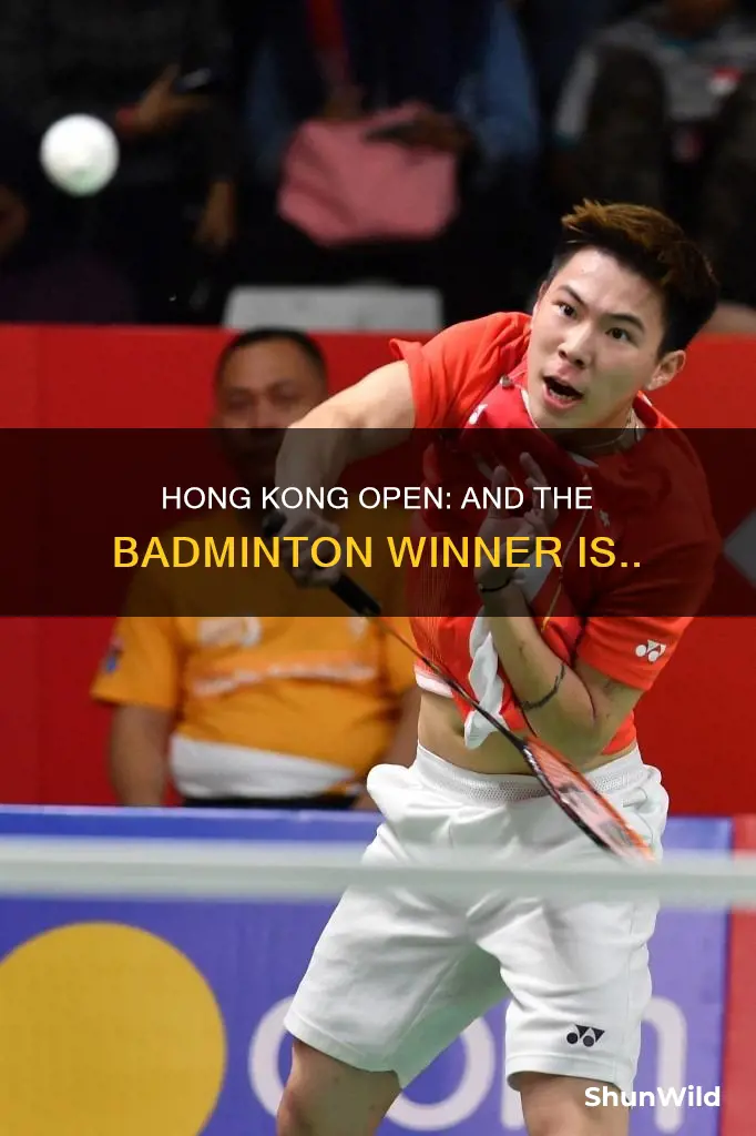 who won hong kong badminton