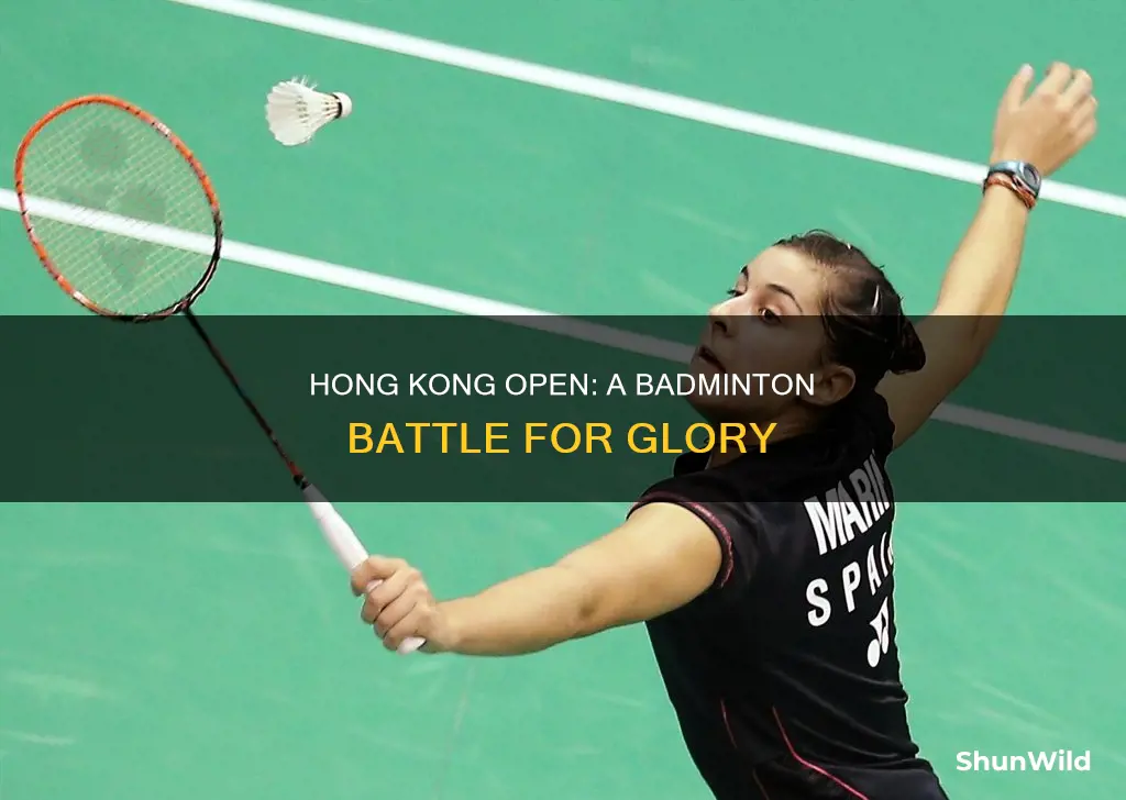 who won hong kong open badminton title