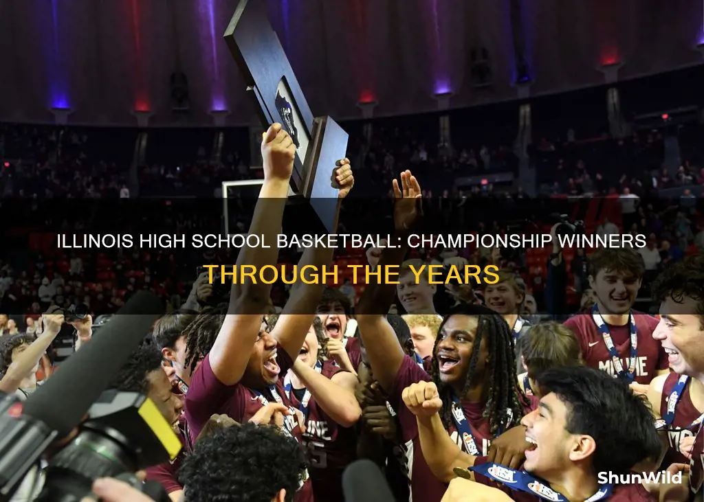 who won illinois high school basketball championship