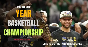 Last Year's Basketball Champions: A Recap of the Victory