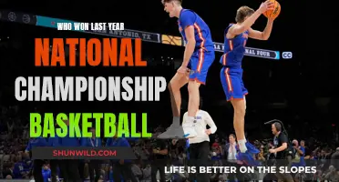 Last Year's National Basketball Champions: A Recap
