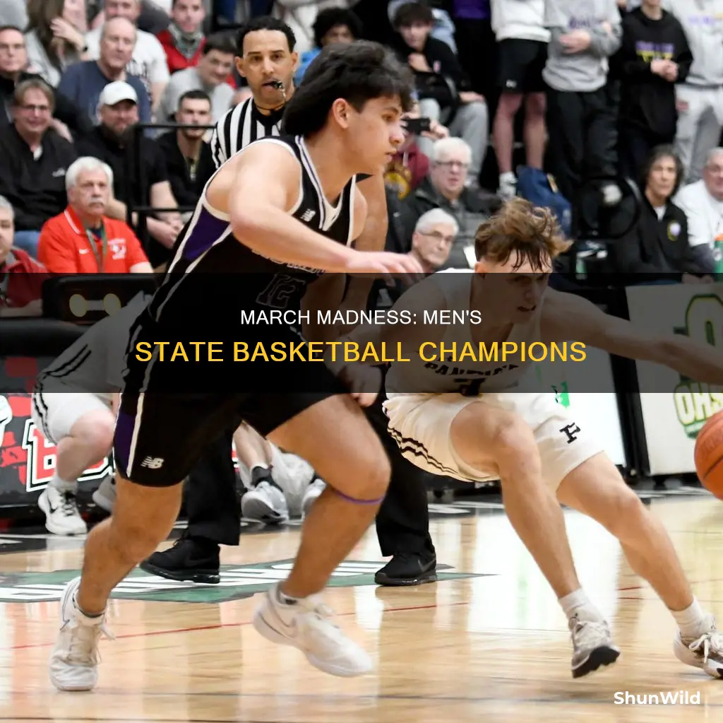 who won mens state basketball