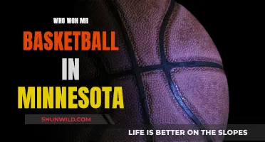 Minnesota's Mr. Basketball: Champions of the Hardwood