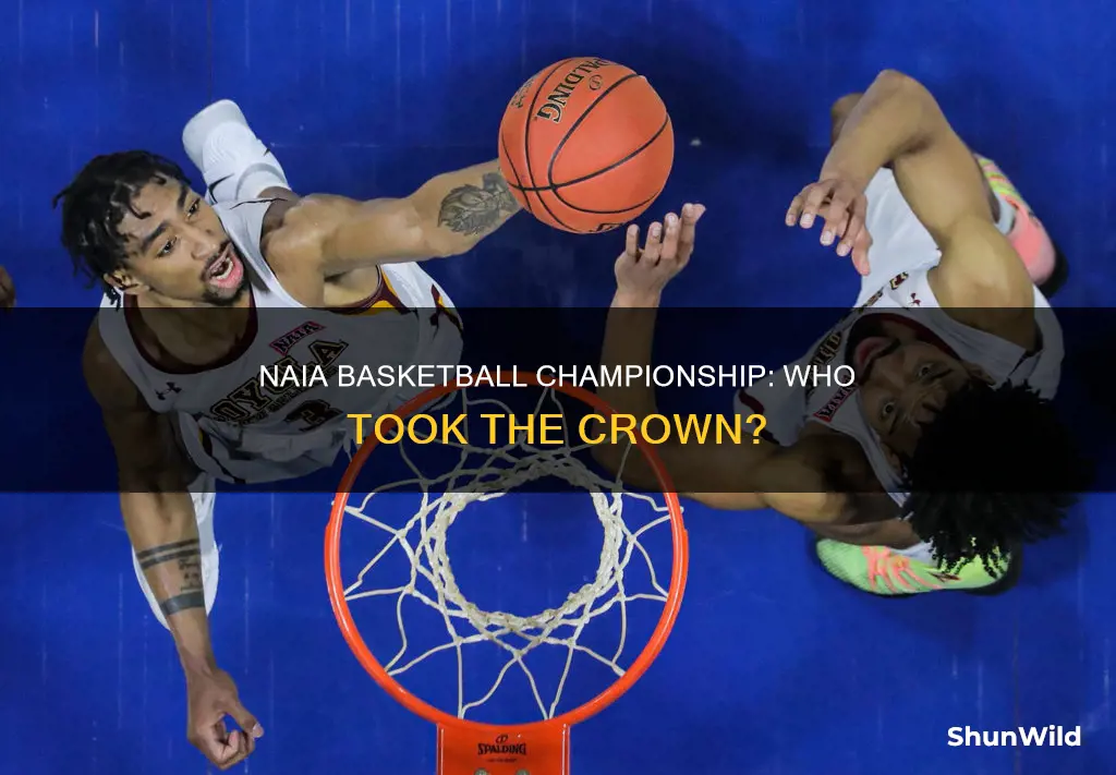 who won naia basketball championship