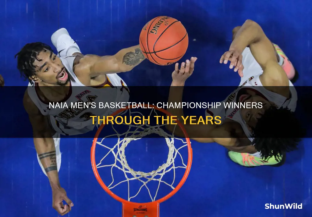 who won naia men