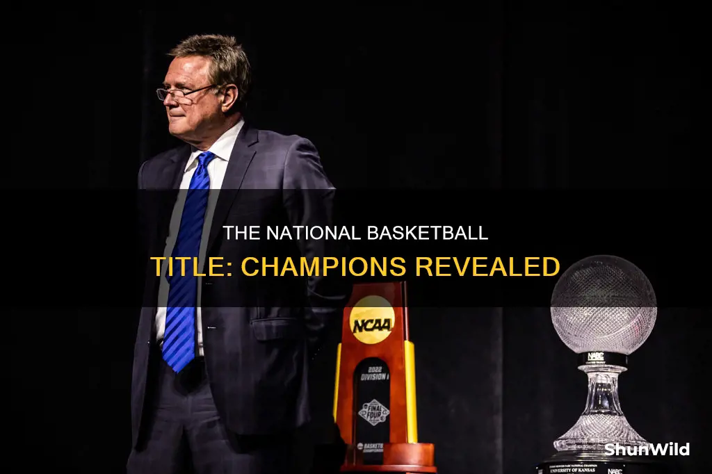 who won national basketball title