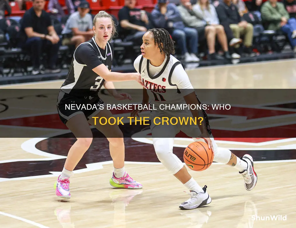 who won nevada state basketball
