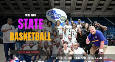 Basketball Glory: State Champions Crowned