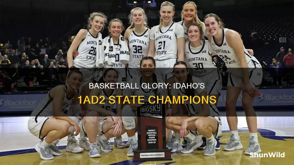 who won state in basketball idaho 1ad2