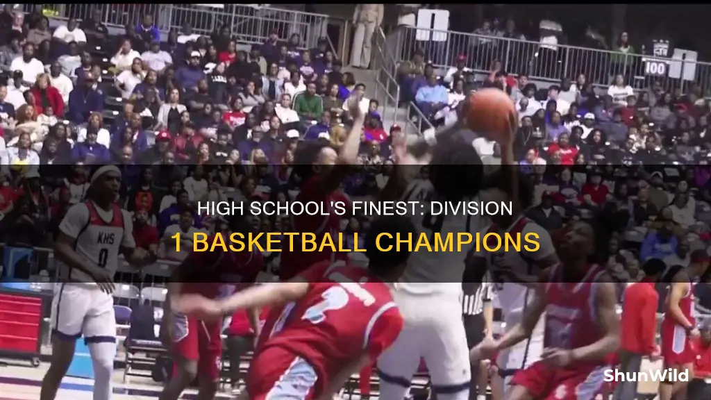 who won tge high school division 1 basketball championship