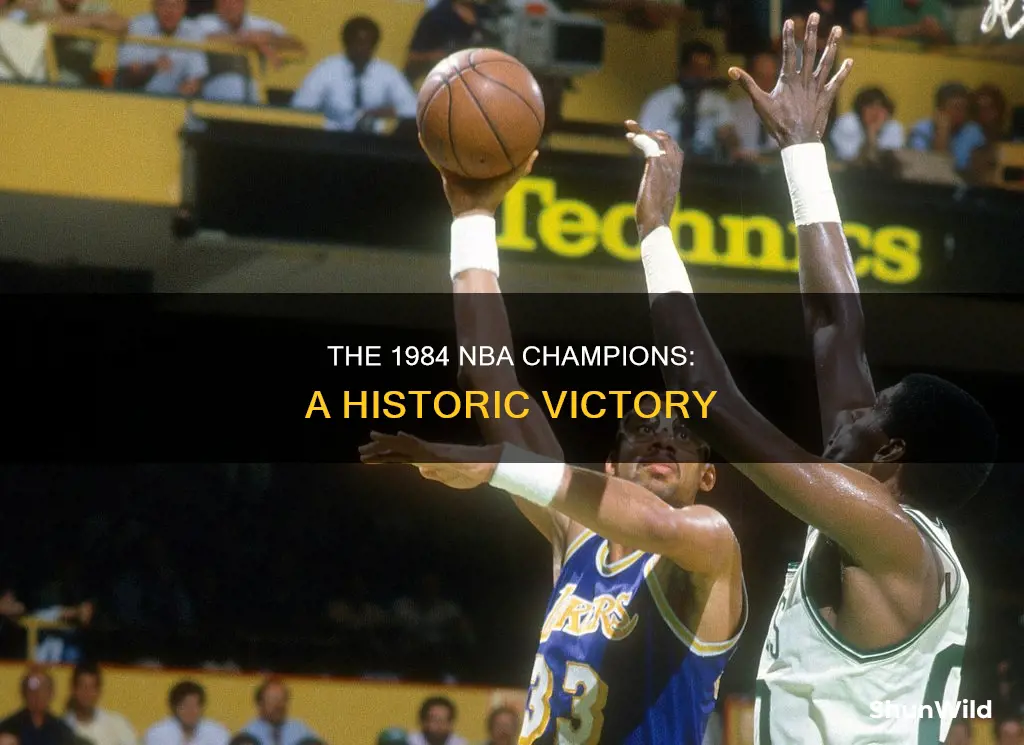 who won the 1984 basketball championship