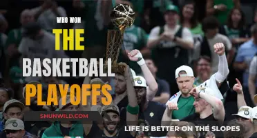 The Basketball Playoffs: Champions Crowned