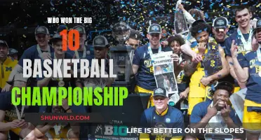 Big 10 Basketball Championship: Who Took the Crown?