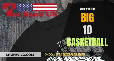 Big 10 Basketball Champions: Who Took the Crown?