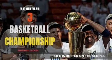 The Big 3 Basketball Championship: Who Took the Crown?