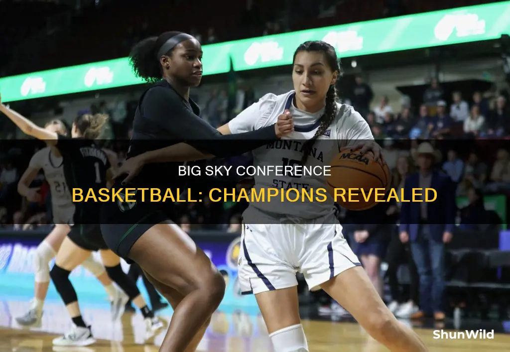 who won the big sky conference basketball