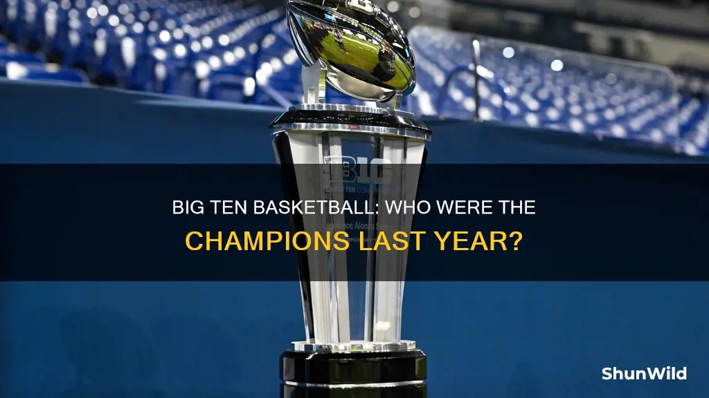 who won the big ten basketball championship last year