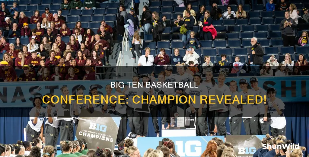 who won the big ten basketball conference