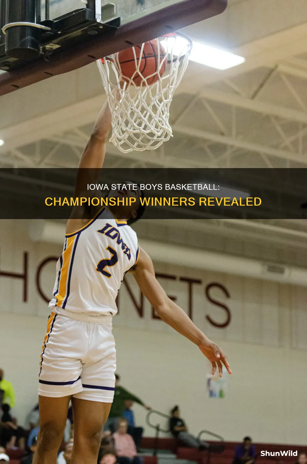 who won the boys iowa state basketball championship
