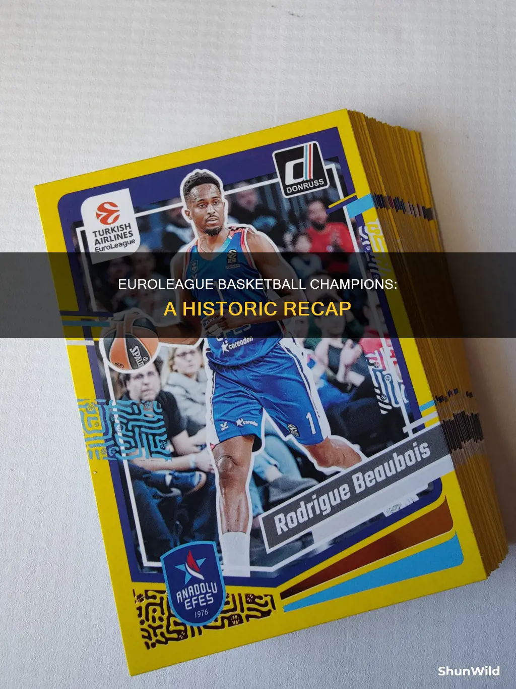 who won the euroleague basketball